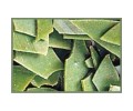 shop_items_catalog_image307